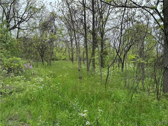 3240 Rte 430, Ellery, NY 14712