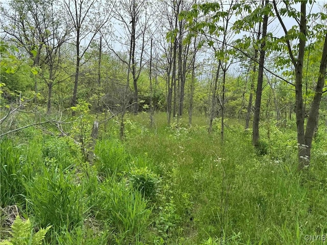 3240 Rte 430, Ellery, NY 14712