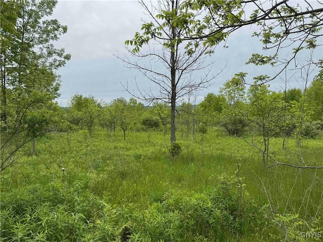 3240 Rte 430, Ellery, NY 14712