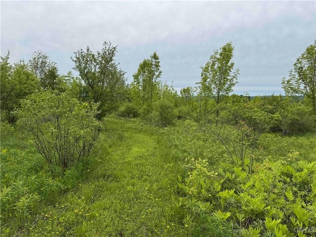 3240 Rte 430, Ellery, NY 14712