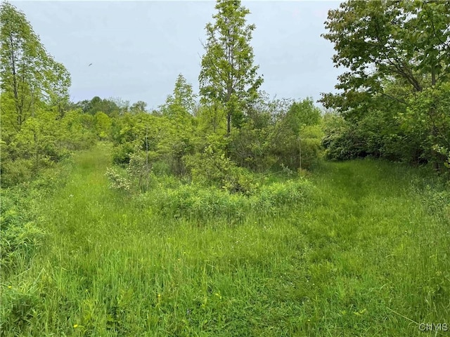 3240 Rte 430, Ellery, NY 14712