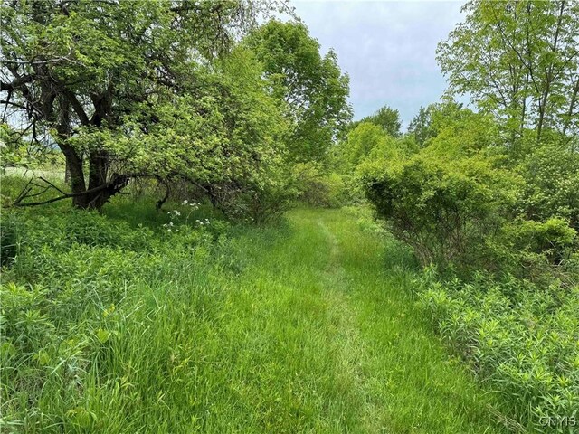 3240 Rte 430, Ellery, NY 14712