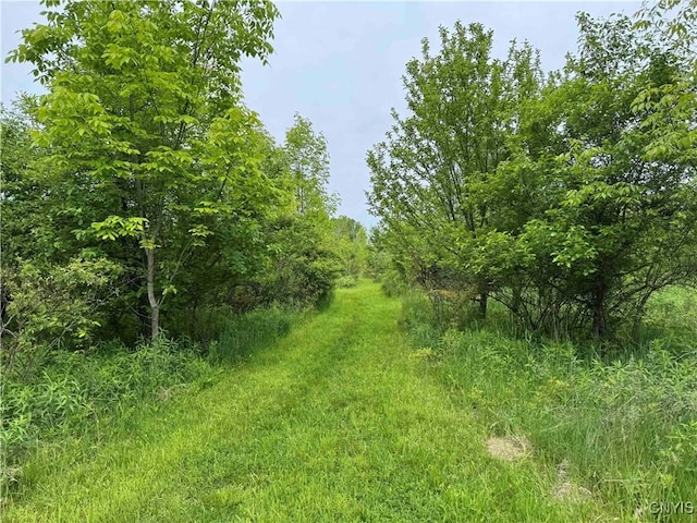 3240 Rte 430, Ellery, NY 14712