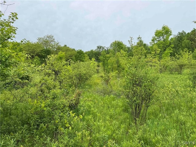 3240 Rte 430, Ellery, NY 14712