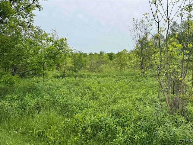 3240 Rte 430, Ellery, NY 14712