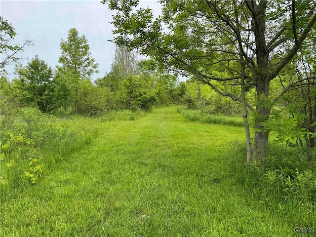 3240 Rte 430, Ellery, NY 14712