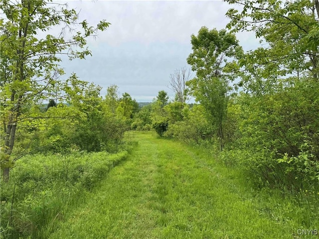 3240 Rte 430, Ellery, NY 14712