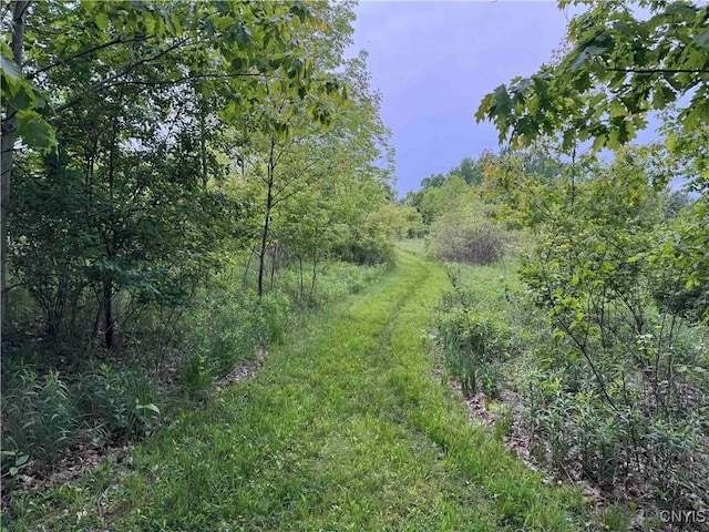 3240 Rte 430, Ellery, NY 14712