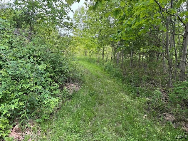 3240 Rte 430, Ellery, NY 14712