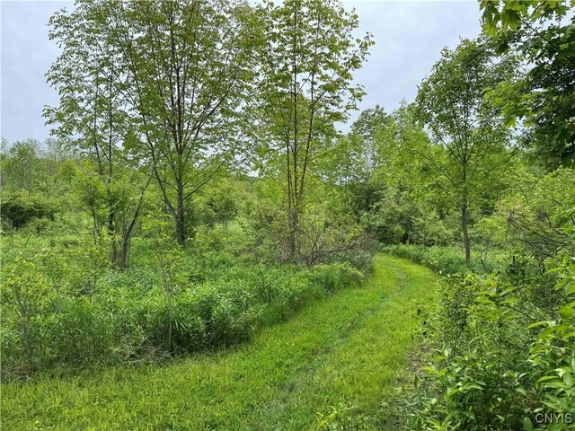 3240 Rte 430, Ellery, NY 14712