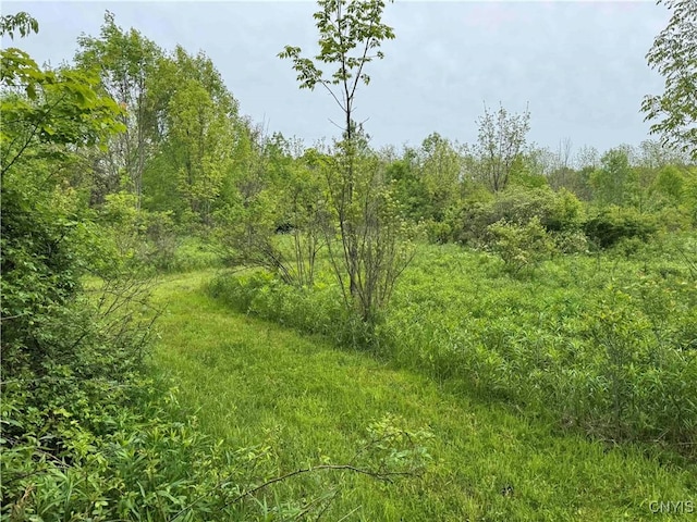 3240 Rte 430, Ellery, NY 14712
