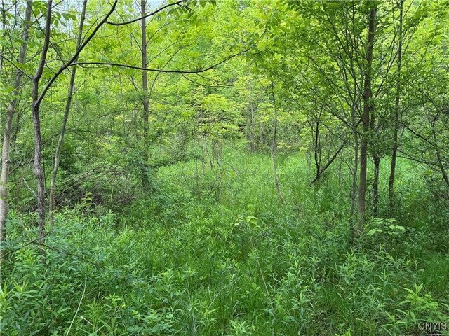 3240 Rte 430, Ellery, NY 14712
