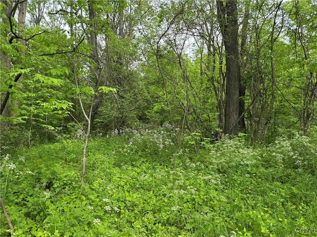 3240 Rte 430, Ellery, NY 14712