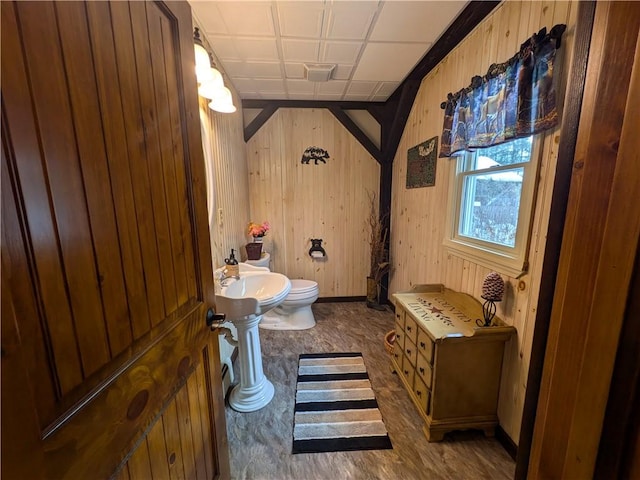 73 Derosia Rd, Lafayette, PA 16738 - bathroom featuring wooden walls, toilet, a sink, and baseboards