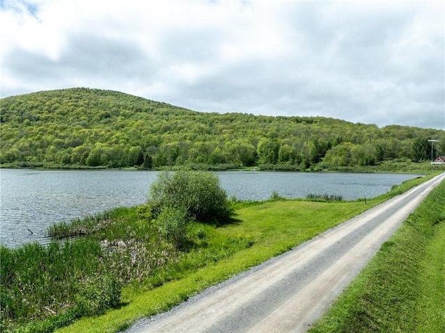 LOT14 Deer Path, Jefferson, NY 12167