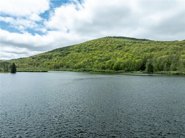 LOT14 Deer Path, Jefferson, NY 12167