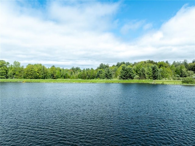 LOT14 Deer Path, Jefferson, NY 12167