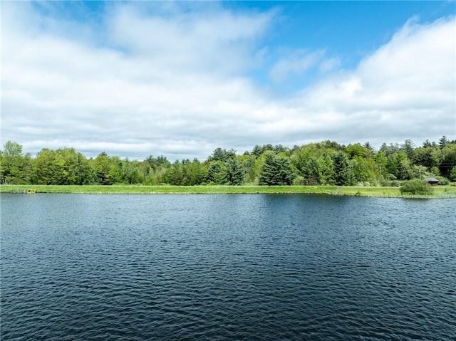 LOT14 Deer Path, Jefferson, NY 12167