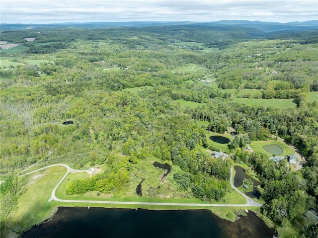 LOT14 Deer Path, Jefferson, NY 12167