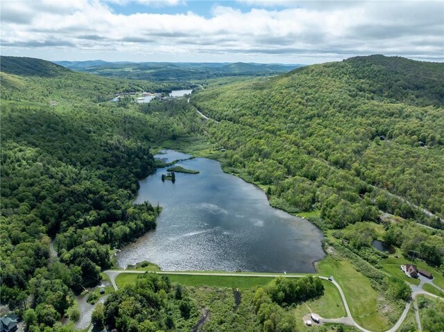 LOT14 Deer Path, Jefferson, NY 12167