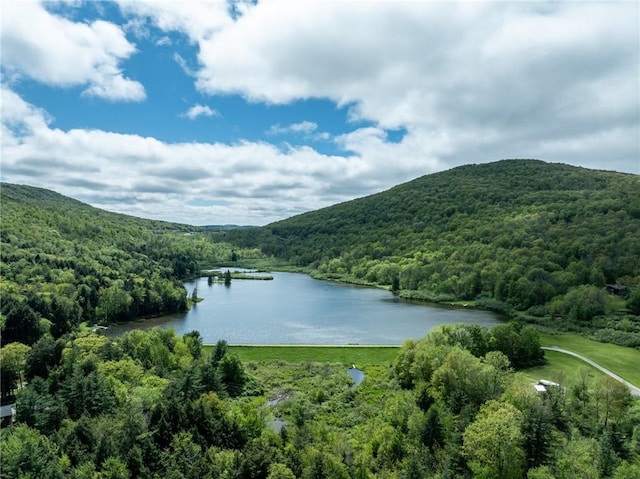 LOT14 Deer Path, Jefferson, NY 12167