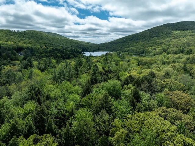 LOT14 Deer Path, Jefferson, NY 12167