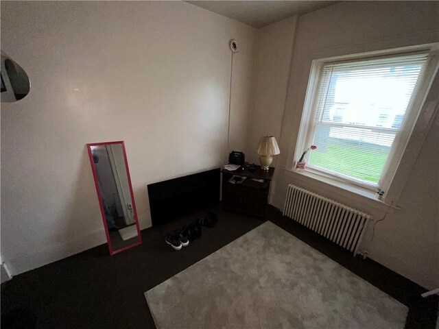 769 Lake Ave, Rochester, NY 14613 - photo 15