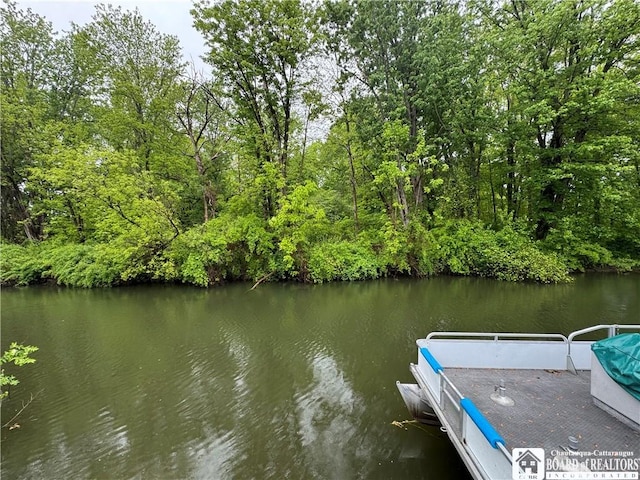 131 Goose Creek Rd, Busti, NY 14710 - dock area featuring a water view