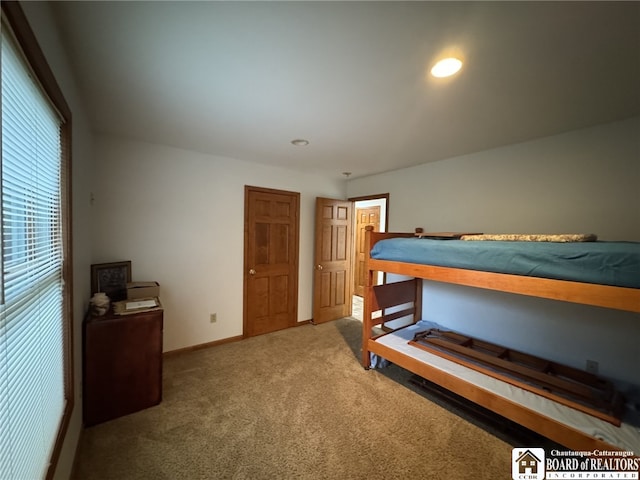 131 Goose Creek Rd, Busti, NY 14710 - bedroom featuring carpet and baseboards