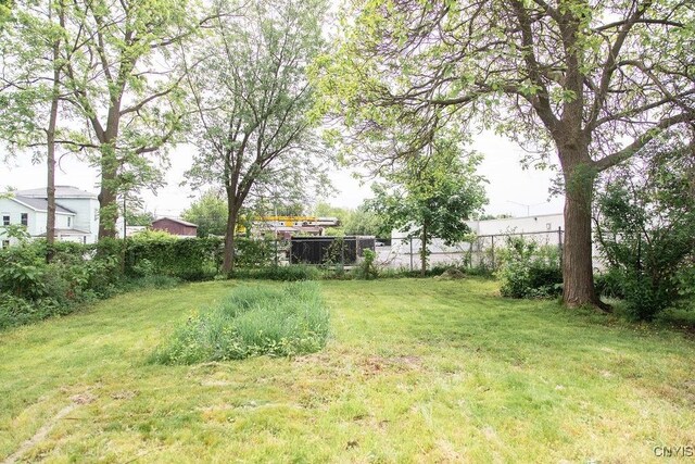 204 E Ellis St, Dewitt, NY 13057 - view of yard