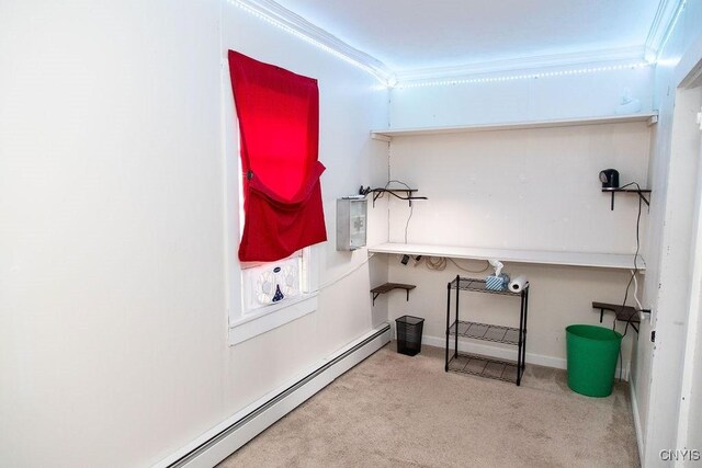 204 E Ellis St, Dewitt, NY 13057 - interior space featuring carpet floors, ornamental molding, and baseboard heating
