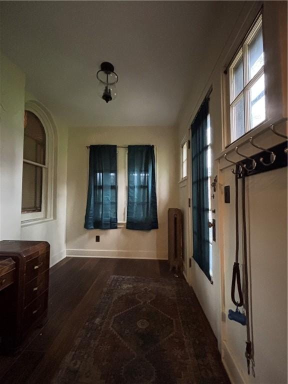 110 Edgar James St, Kane Boro, PA 16735 - hallway with baseboards, wood finished floors, plenty of natural light, and radiator
