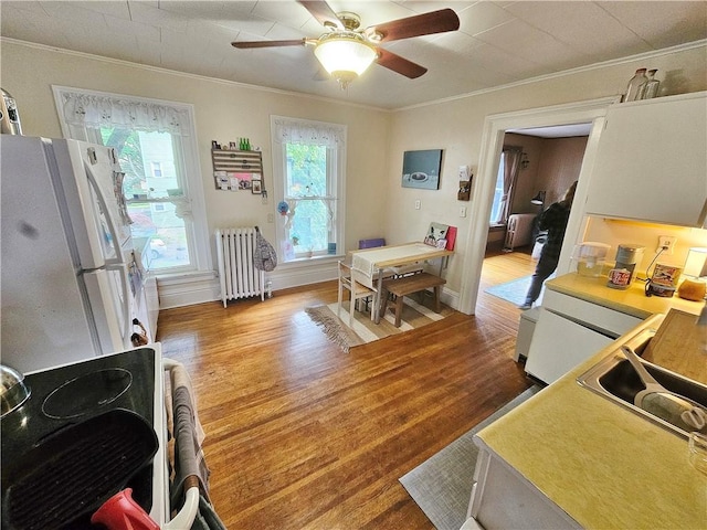 490-492 Oxford St, Rochester, NY 14607 - photo 17