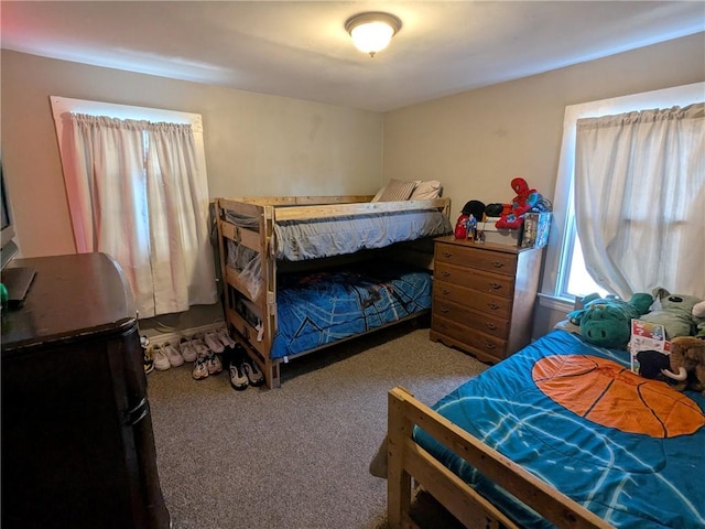 313 Ellicott St, Rochester, NY 14619 - bedroom with carpet flooring