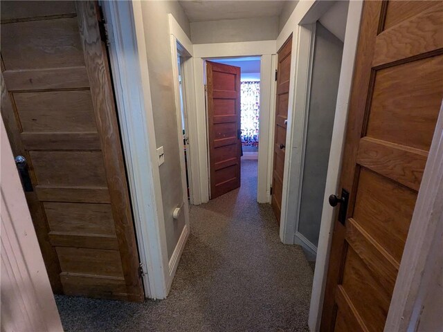 313 Ellicott St, Rochester, NY 14619 - corridor featuring carpet flooring and baseboards