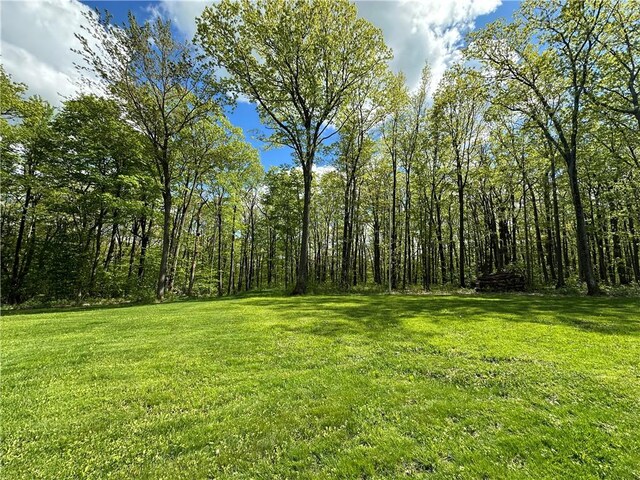 5515 Highlands Dr, Italy, NY 14418 - photo 11