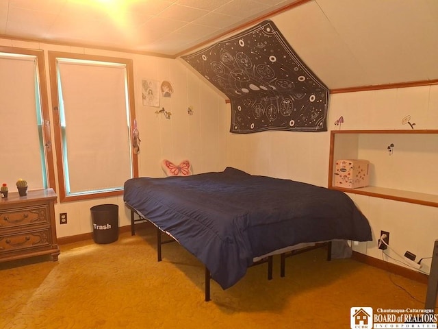 38 Douglas Pl, Jamestown, NY 14701 - bedroom featuring carpet flooring, baseboards, and lofted ceiling