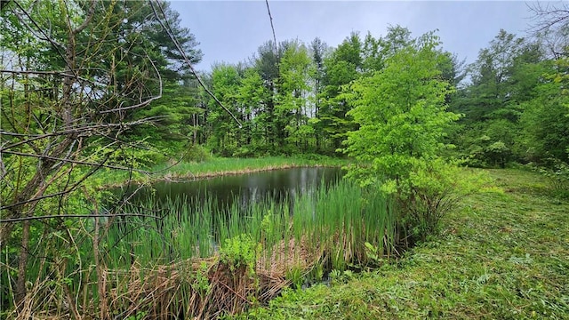 7978 Tuttle Rd, Prattsburgh, NY 14873 - view of woods featuring a water view