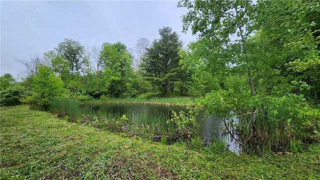 7978 Tuttle Rd, Prattsburgh, NY 14873 - water view featuring a forest