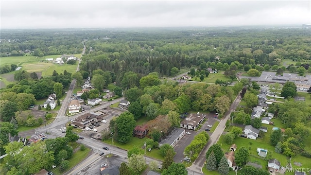 5002 Armor Duells Rd, Orchard Park, NY 14127 - aerial view of property's location featuring a forest