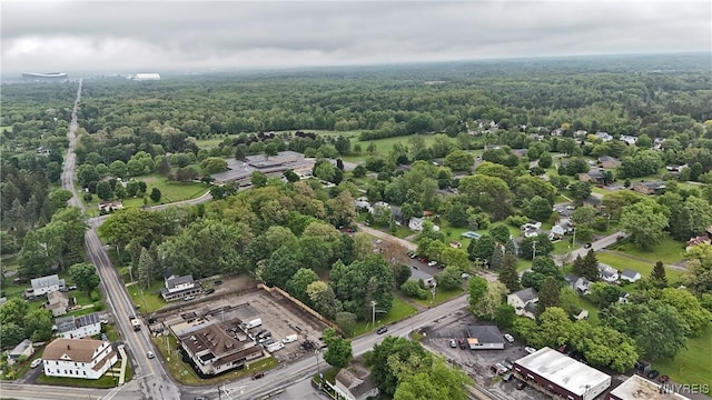 5002 Armor Duells Rd, Orchard Park, NY 14127 - bird's eye view of a forest