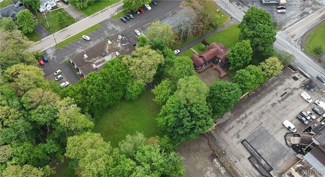 5002 Armor Duells Rd, Orchard Park, NY 14127 - aerial view
