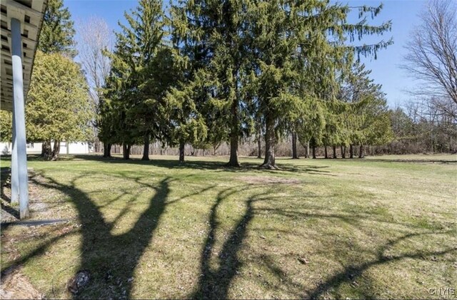 10894 State Route 26, Denmark, NY 13619 - photo 45