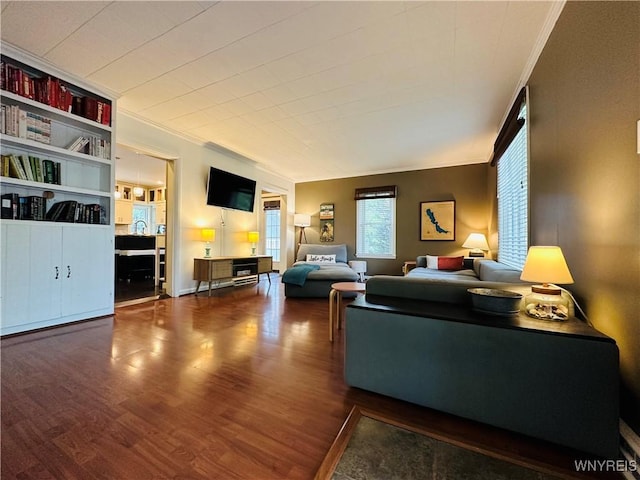 34 Maple St, Ellery, NY 14712 - living area with crown molding and wood finished floors