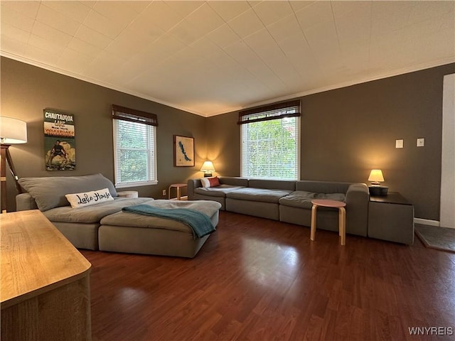 34 Maple St, Ellery, NY 14712 - living room featuring crown molding, wood finished floors, and baseboards