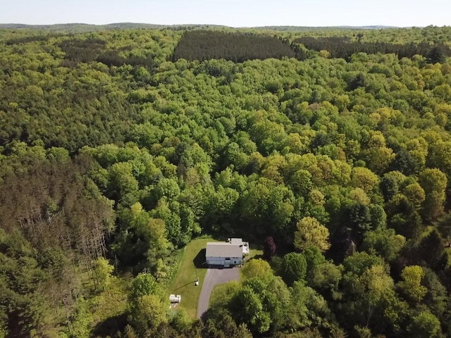 606 County Highway 12, Laurens, NY 13796 - aerial view of a heavily wooded area