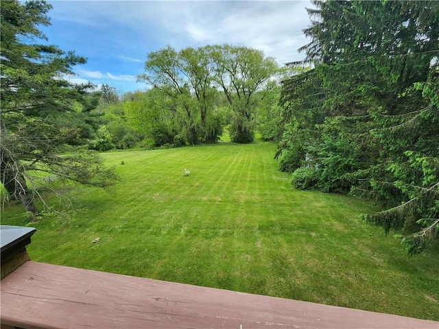 7650 Grant Avenue Rd, Sennett, NY 13021 - view of grassy yard