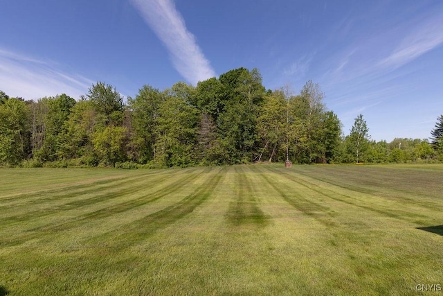 299 Sharp Rd, Granby, NY 13069 - view of green lawn