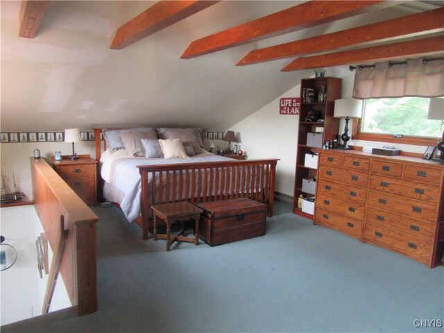 114 N Shore Dr, Amboy, NY 13316 - photo 15