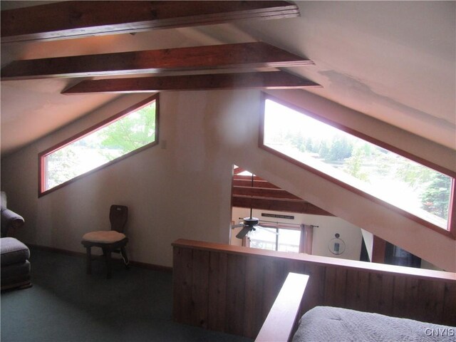 114 N Shore Dr, Amboy, NY 13316 - photo 16